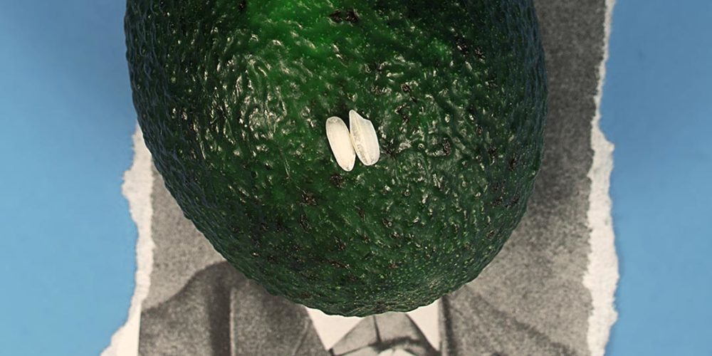 Helge H. Dr. Paulsen – Avocado – Vampir